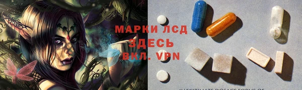 стаф Михайловск