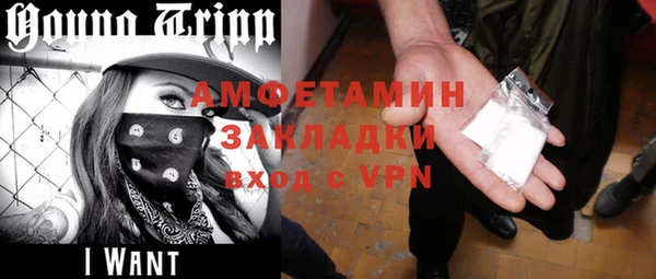 индика Алзамай