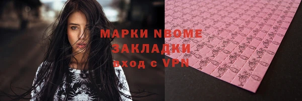 индика Алзамай