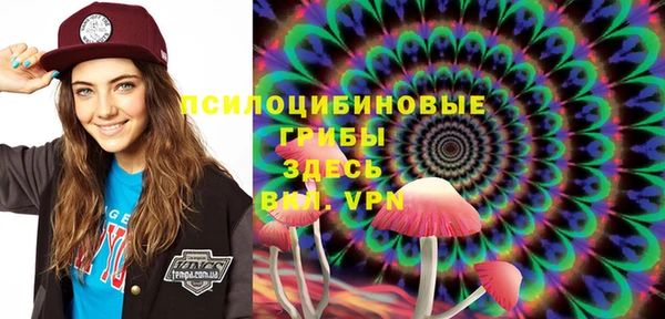 МДПВ Алексин