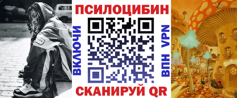 Псилоцибиновые грибы Psilocybine cubensis  Абаза 